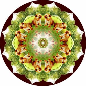 Kaleidoskop aus Foto mit Hund