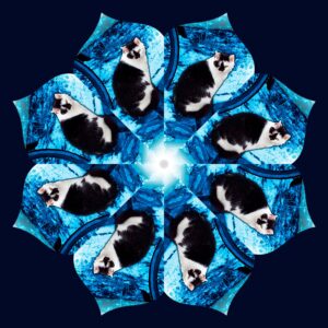 Kaleidoskop aus Katzenbild Personalisierter Schmuck